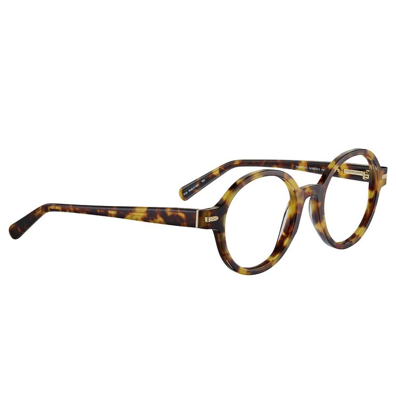 GERVAIS OPTIC, Havana Shiny-Demo Lens, hi-res image number null